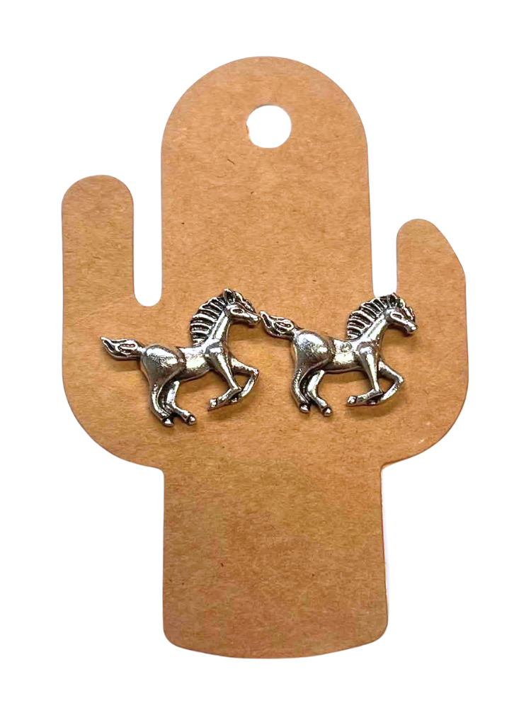 Boucles d'oreilles argent