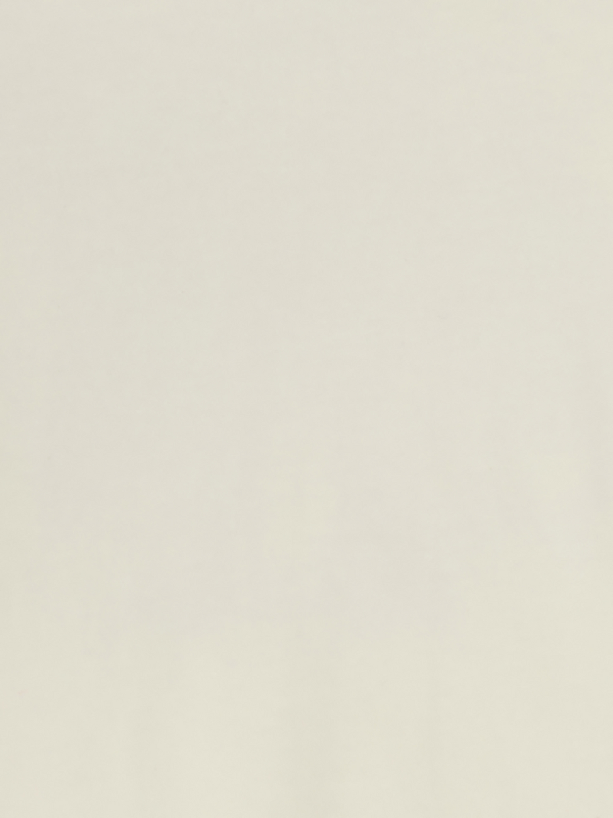 Chandail à manches longues Cheval à motif - Fille