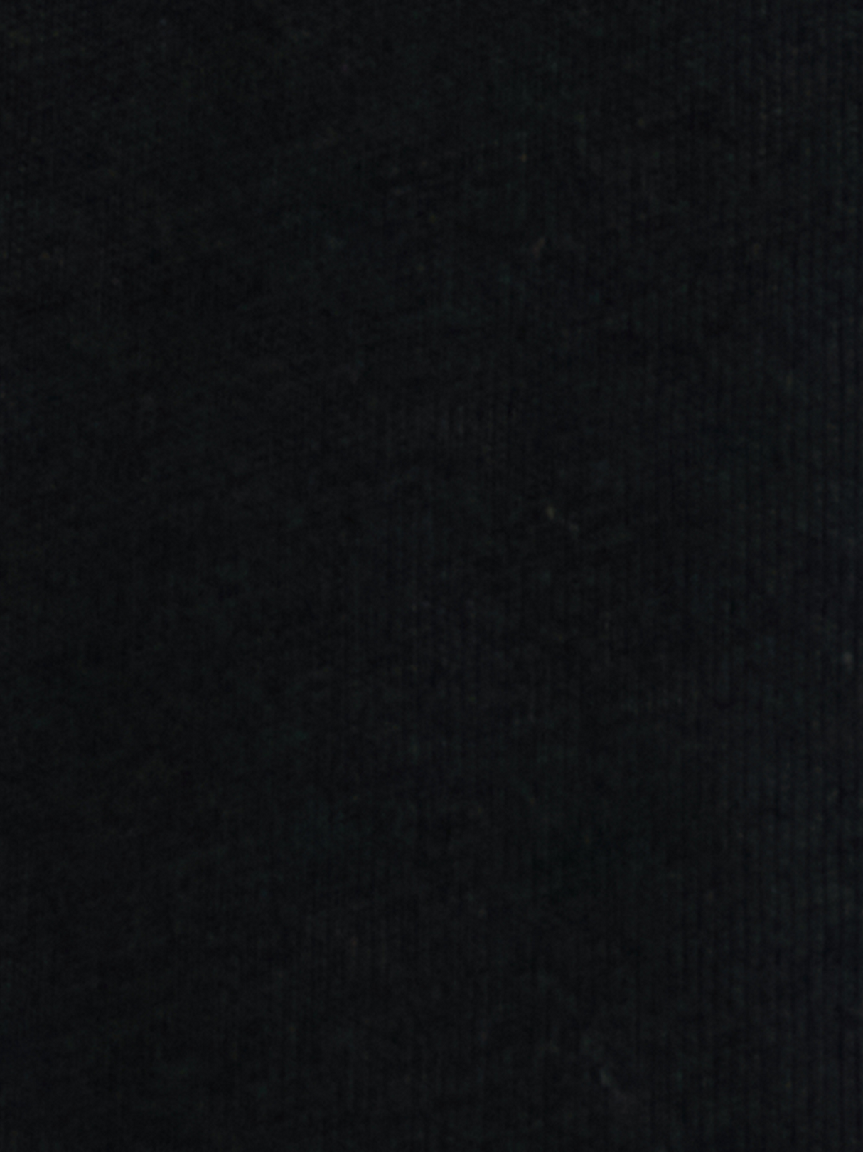 T-Shirt Steer Checotah - Homme