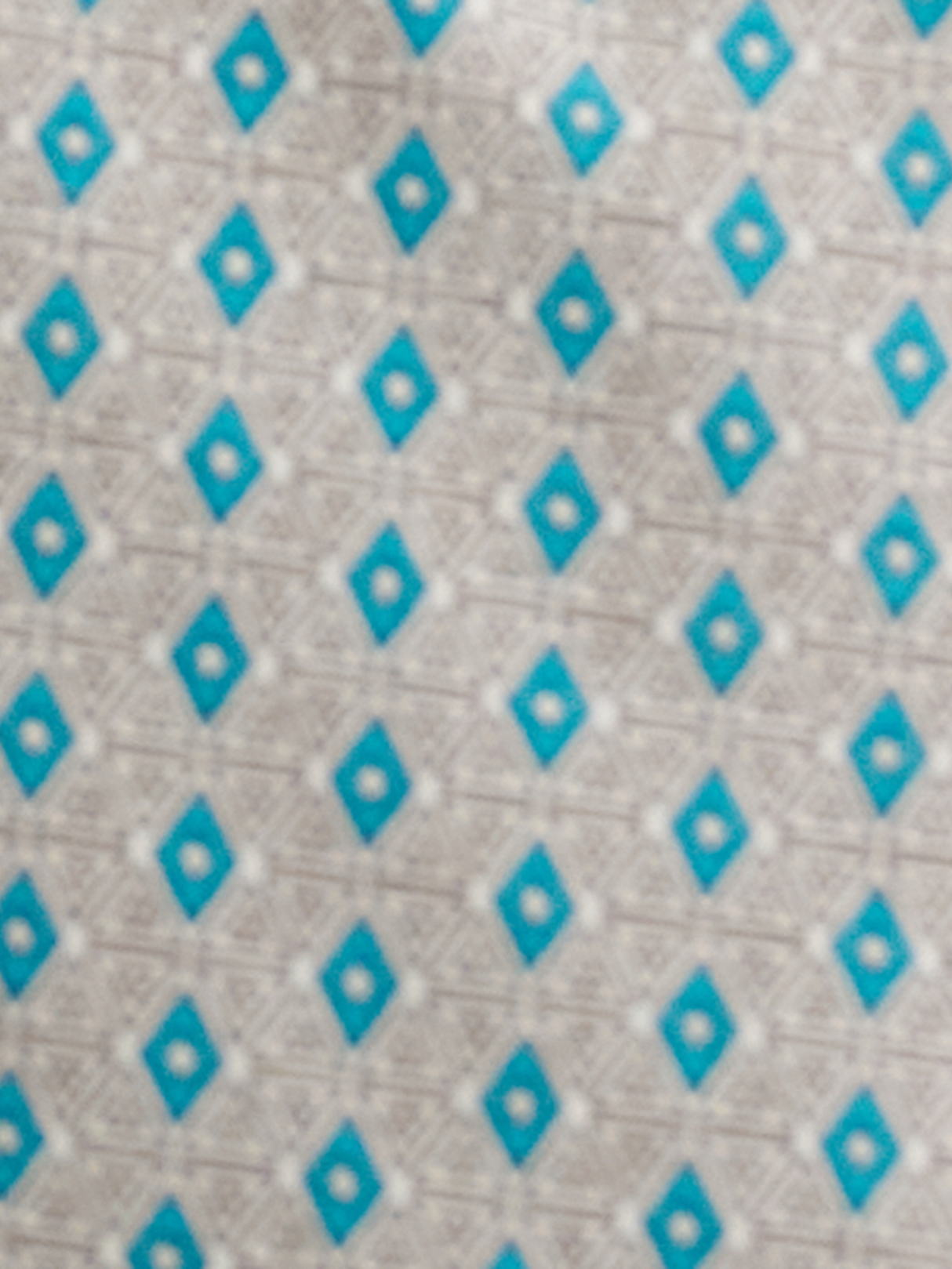 Chemise western snaps Logo Peacock - Homme