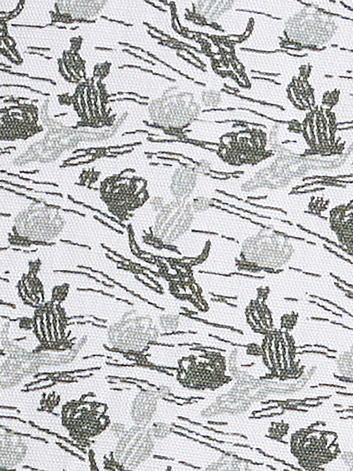 Chemise 20X® Competition Longhorn & Cactus - Homme