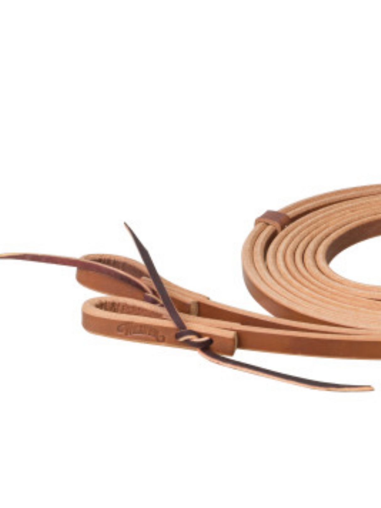 Western Horizon Reins