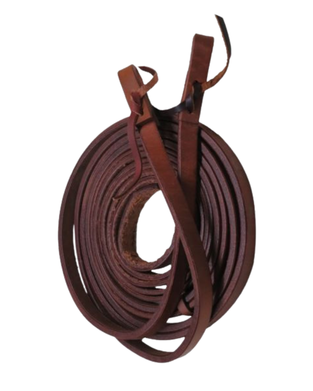 Western reins Argentina