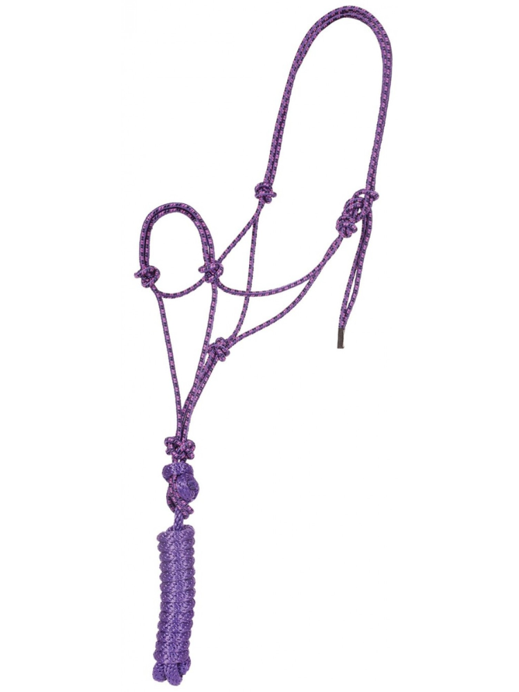 Economy Mountain Rope Halter with Leash