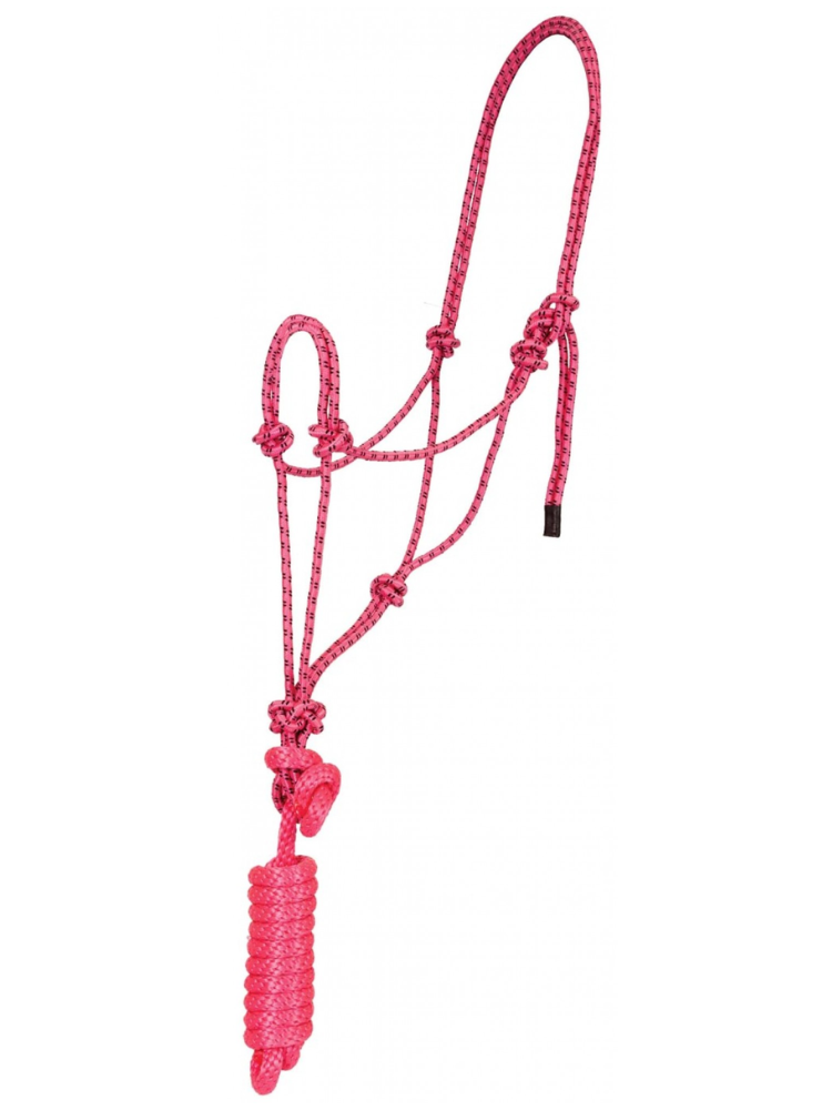 Economy Mountain Rope Halter with Leash