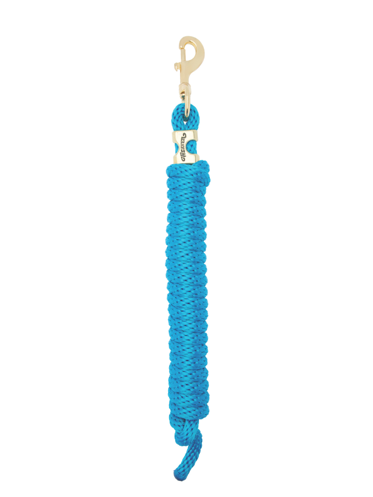 Original leash