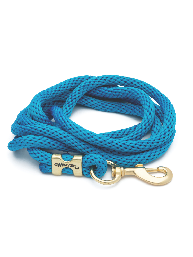 Original leash