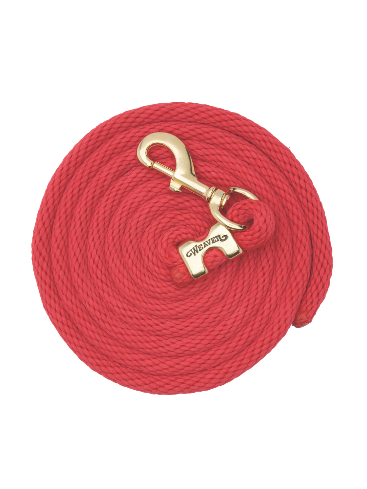 Original leash