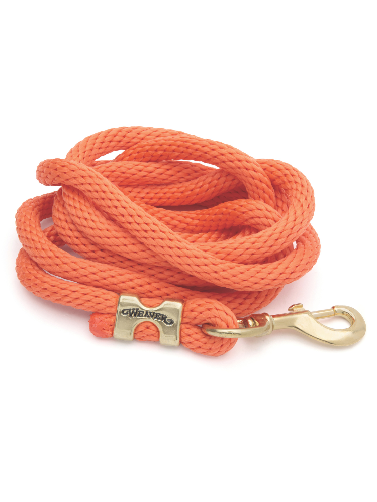 Original leash
