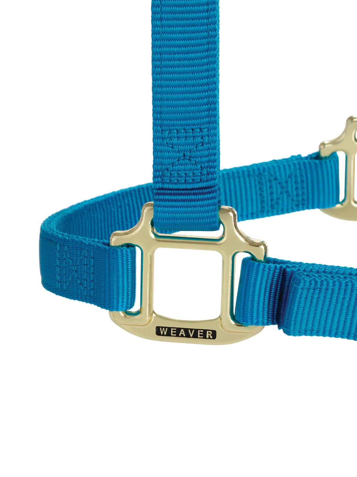 Licou en Nylon Original Ajustable