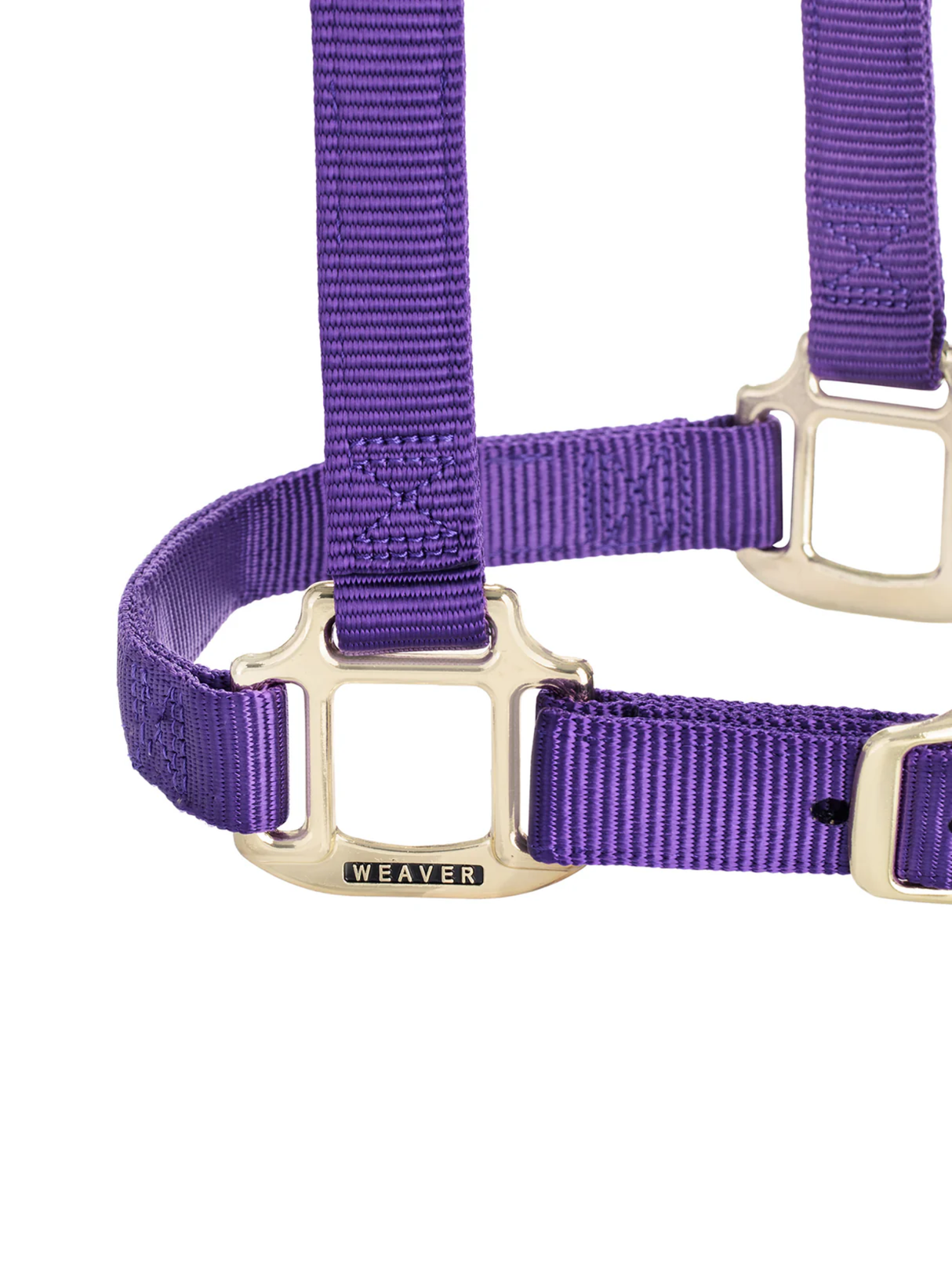 Licou en Nylon Original Ajustable