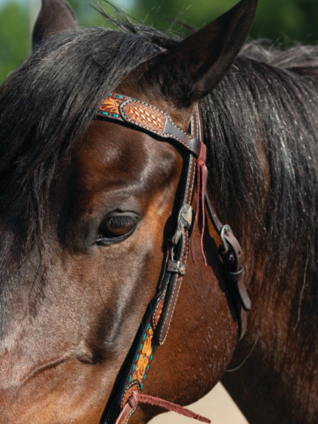 Bride Western avec Frontal Floral