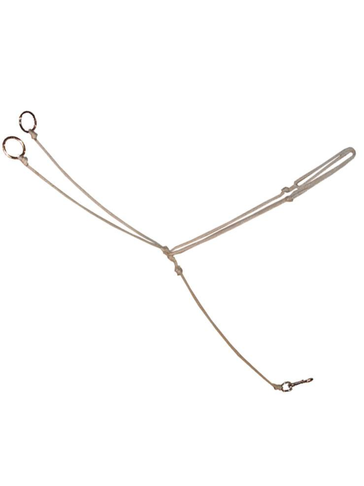 Western ring martingale