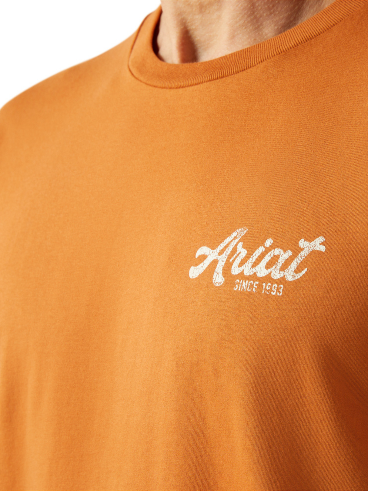 T-shirt Coyote Country - Homme