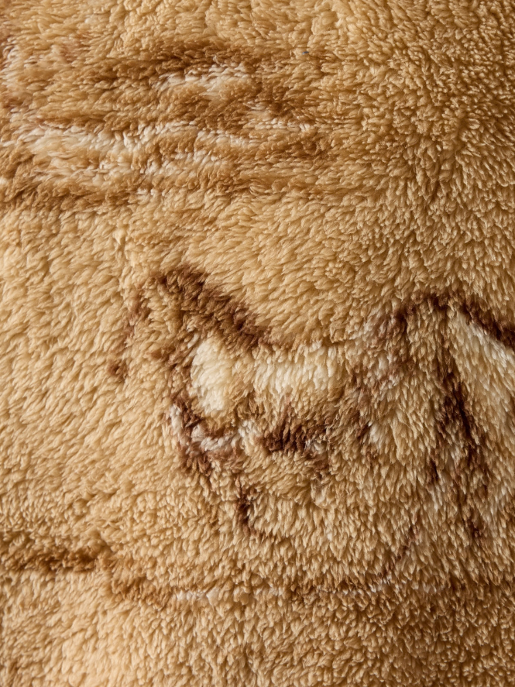 Chandail Berber Wild Horses Print - Femme