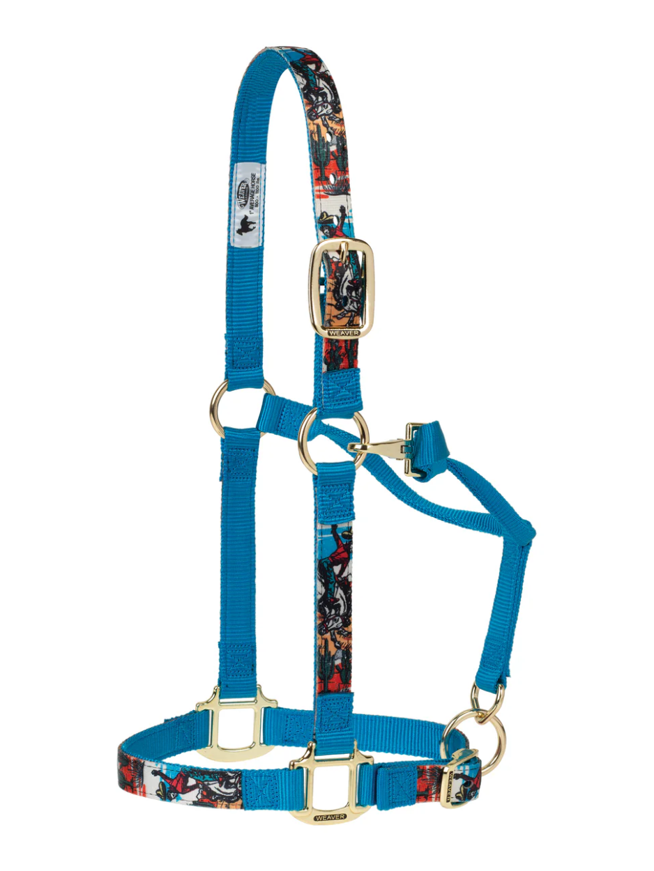 Licou de Nylon avec motifs