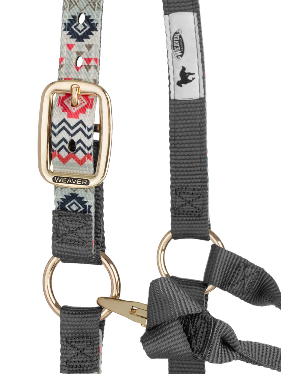 Licou de Nylon avec motifs