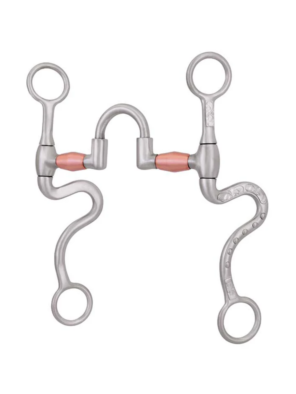 Western Correctional S-Shank Bit