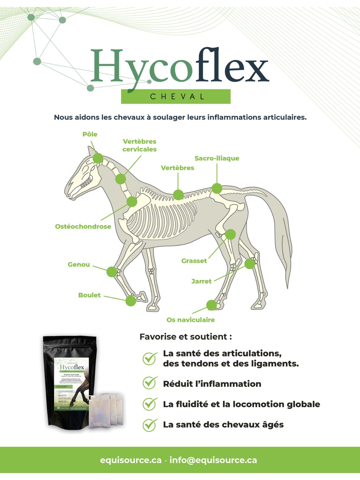 Hycoflex Joint Supplement