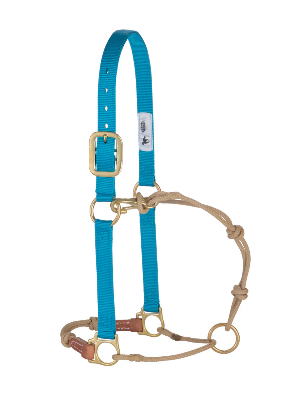 Horseman Halter Kalley Krickeberg