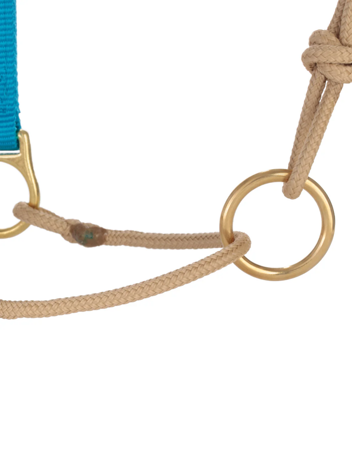 Horseman Halter Kalley Krickeberg