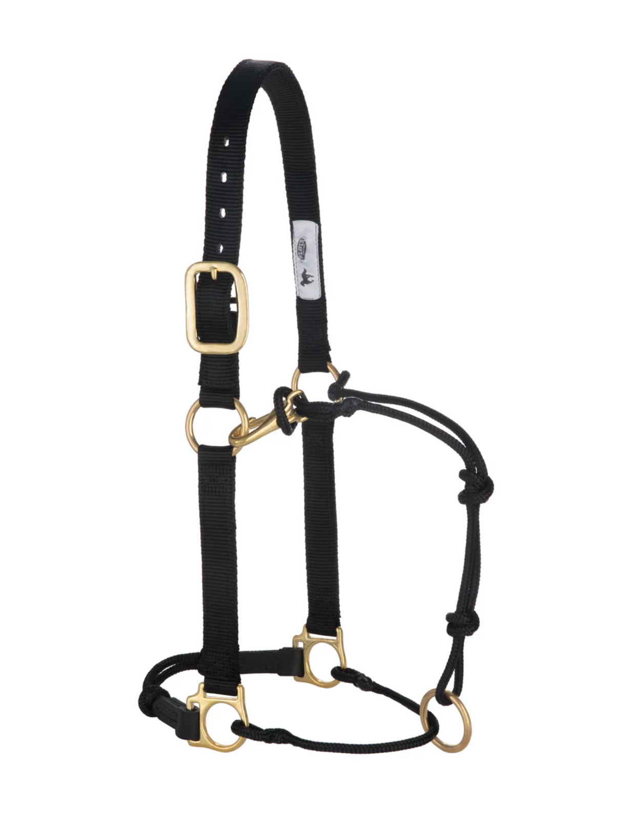Horseman Halter Kalley Krickeberg