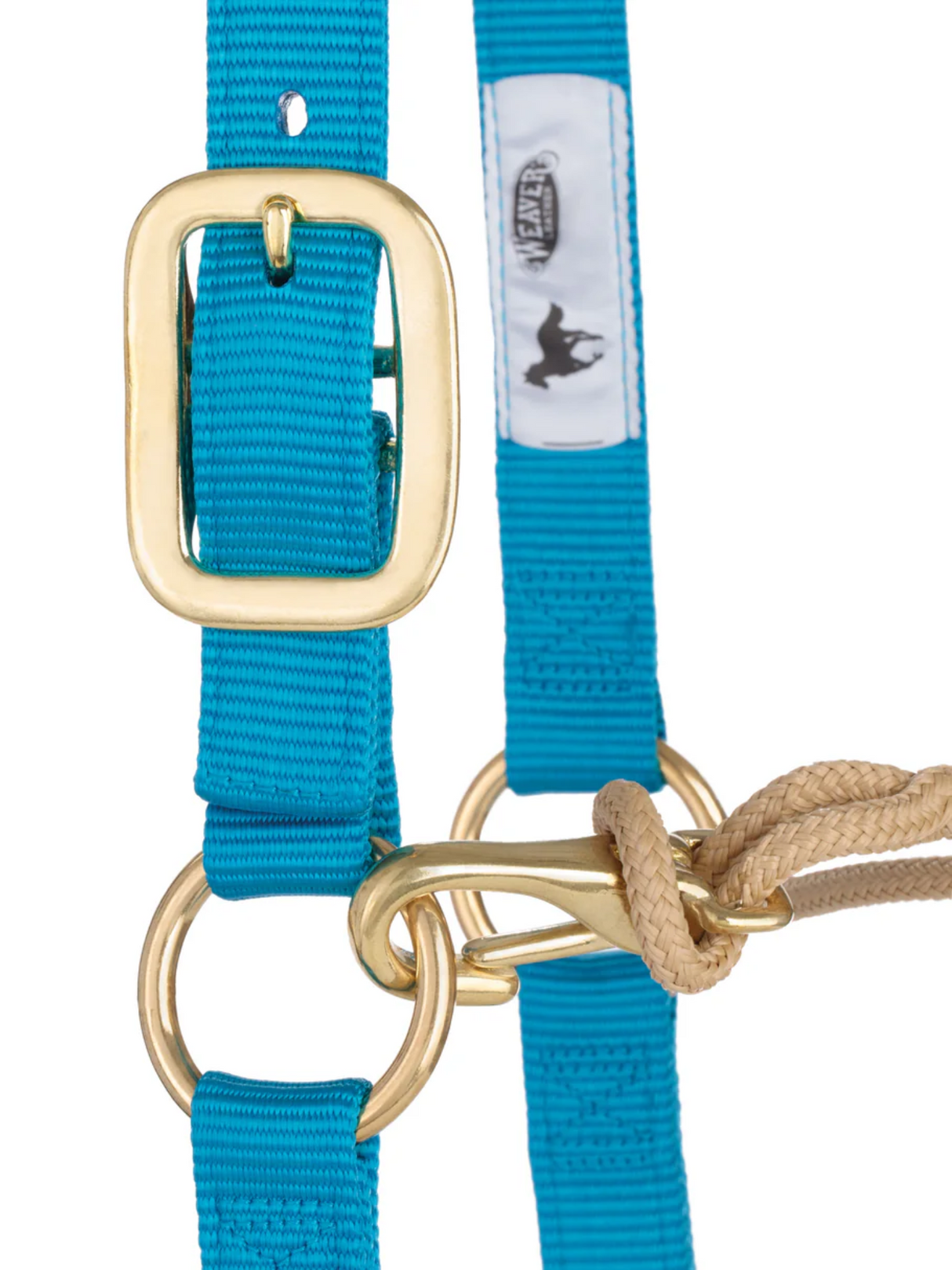 Horseman Halter Kalley Krickeberg