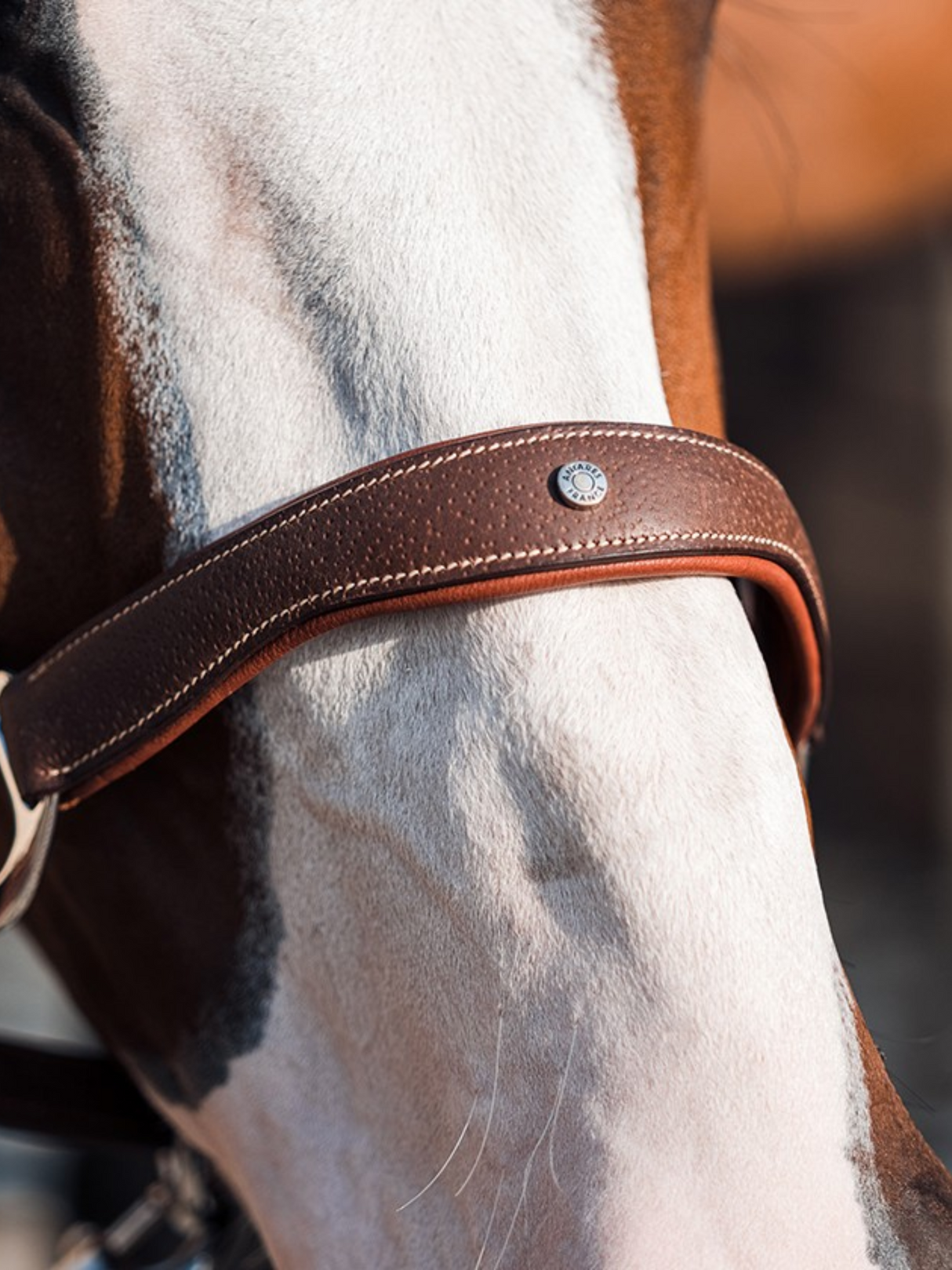 Licou Stressless en Cuir avec Empiècements Élastiques