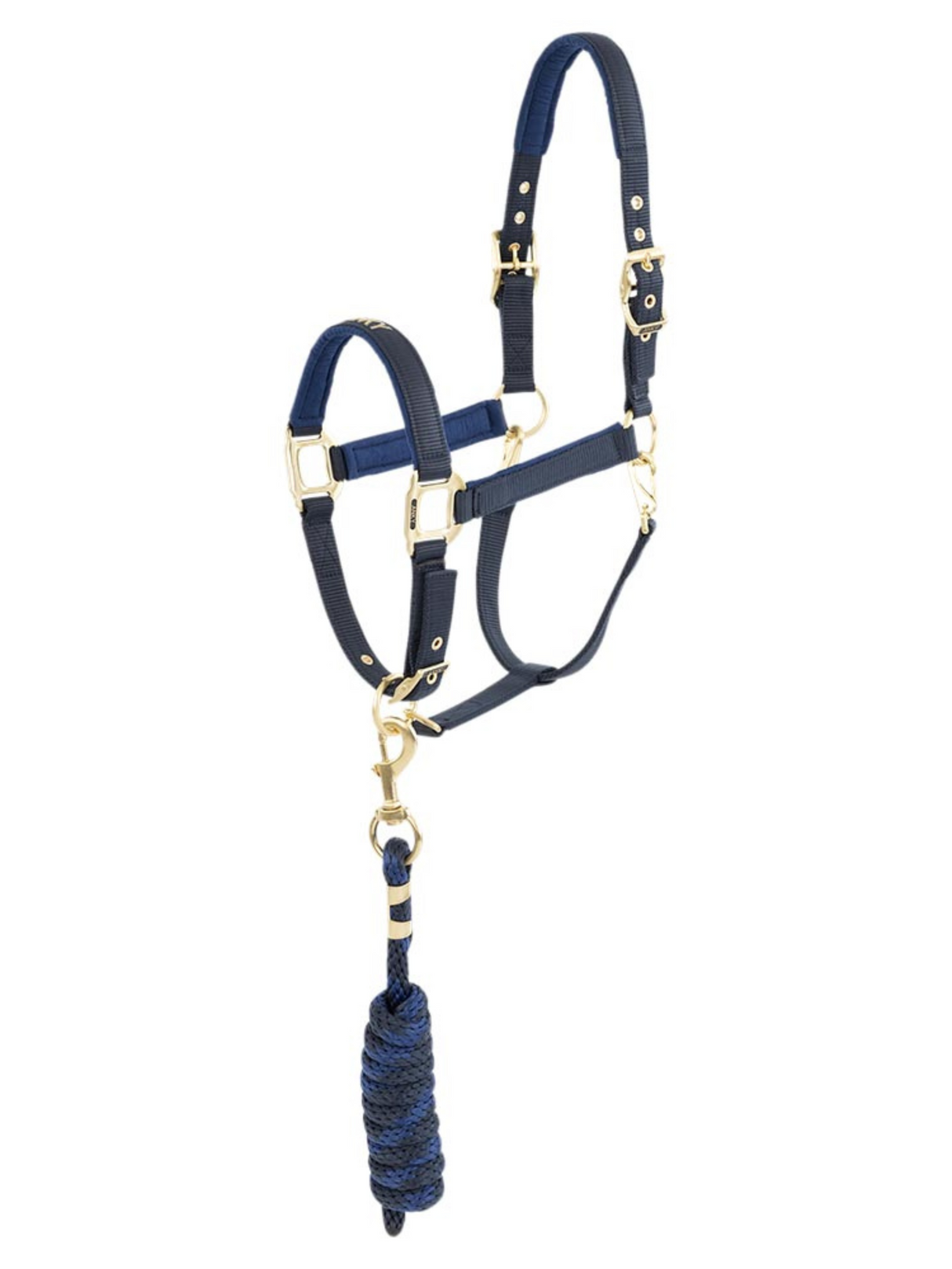 Licou et laisse Doublés Suédine