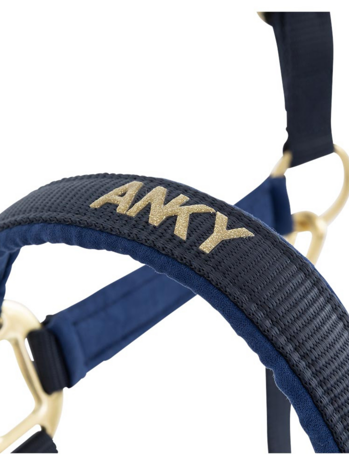 Licou et laisse Doublés Suédine