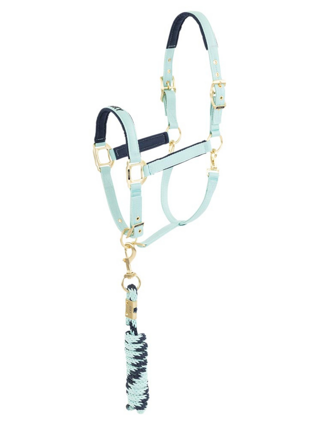 Licou et laisse Doublés Suédine