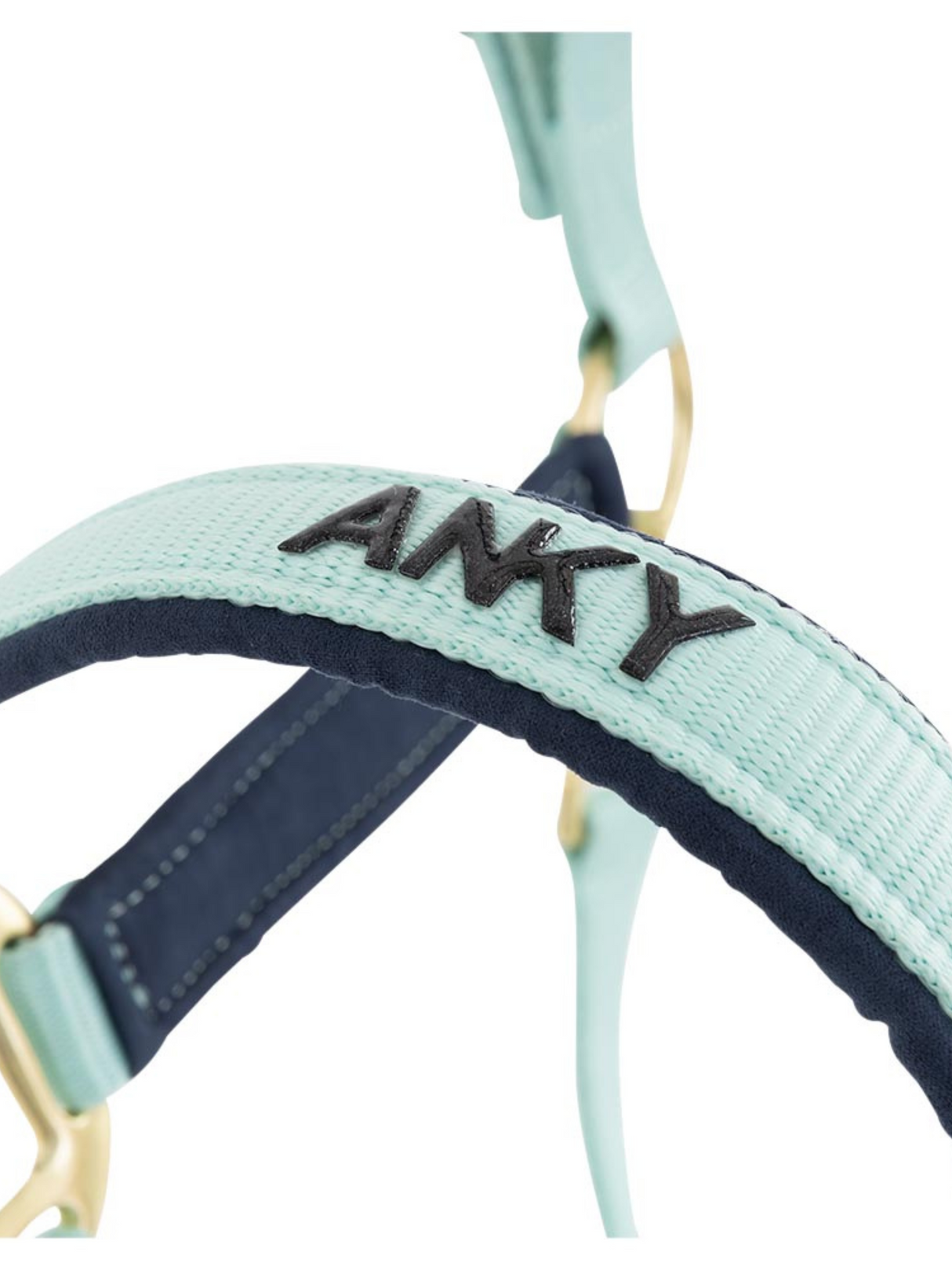 Licou et laisse Doublés Suédine