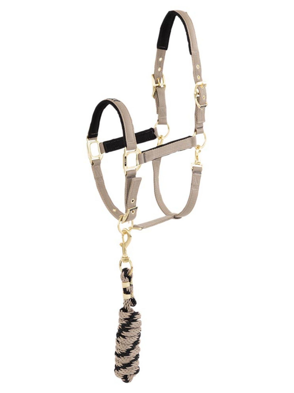 Licou et laisse Doublés Suédine