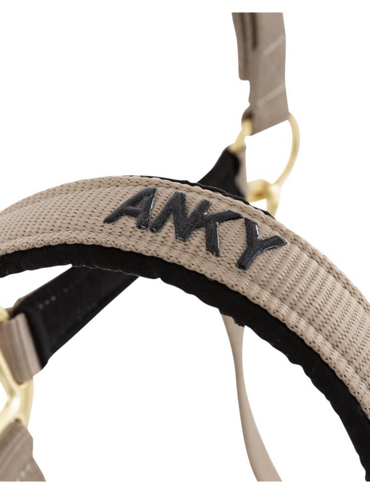 Licou et laisse Doublés Suédine