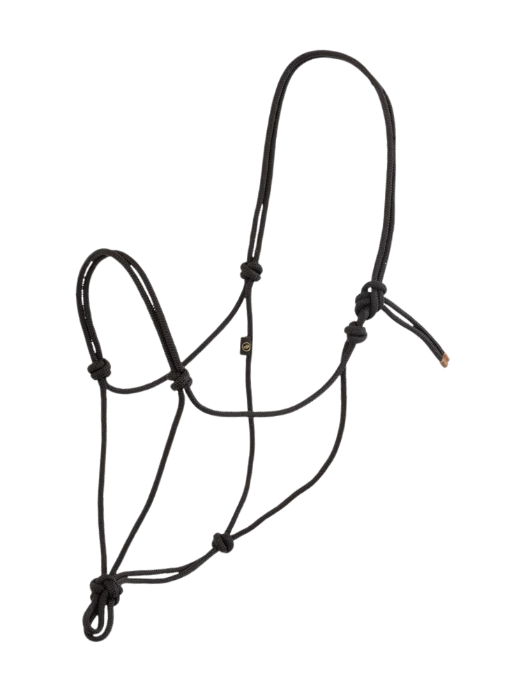 Licou Éthologique de corde