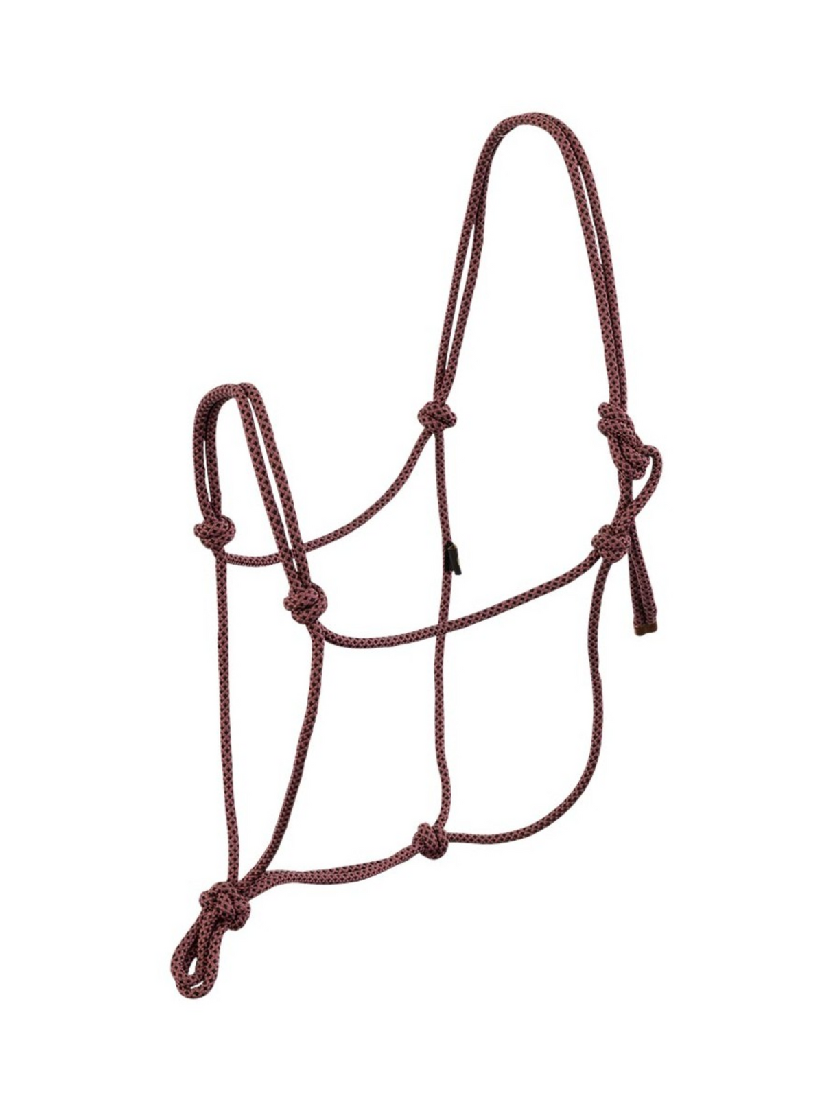 Licou Éthologique de corde