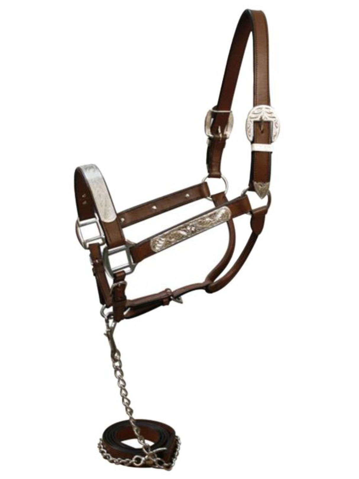 Licol de présentation avec laisse assortie