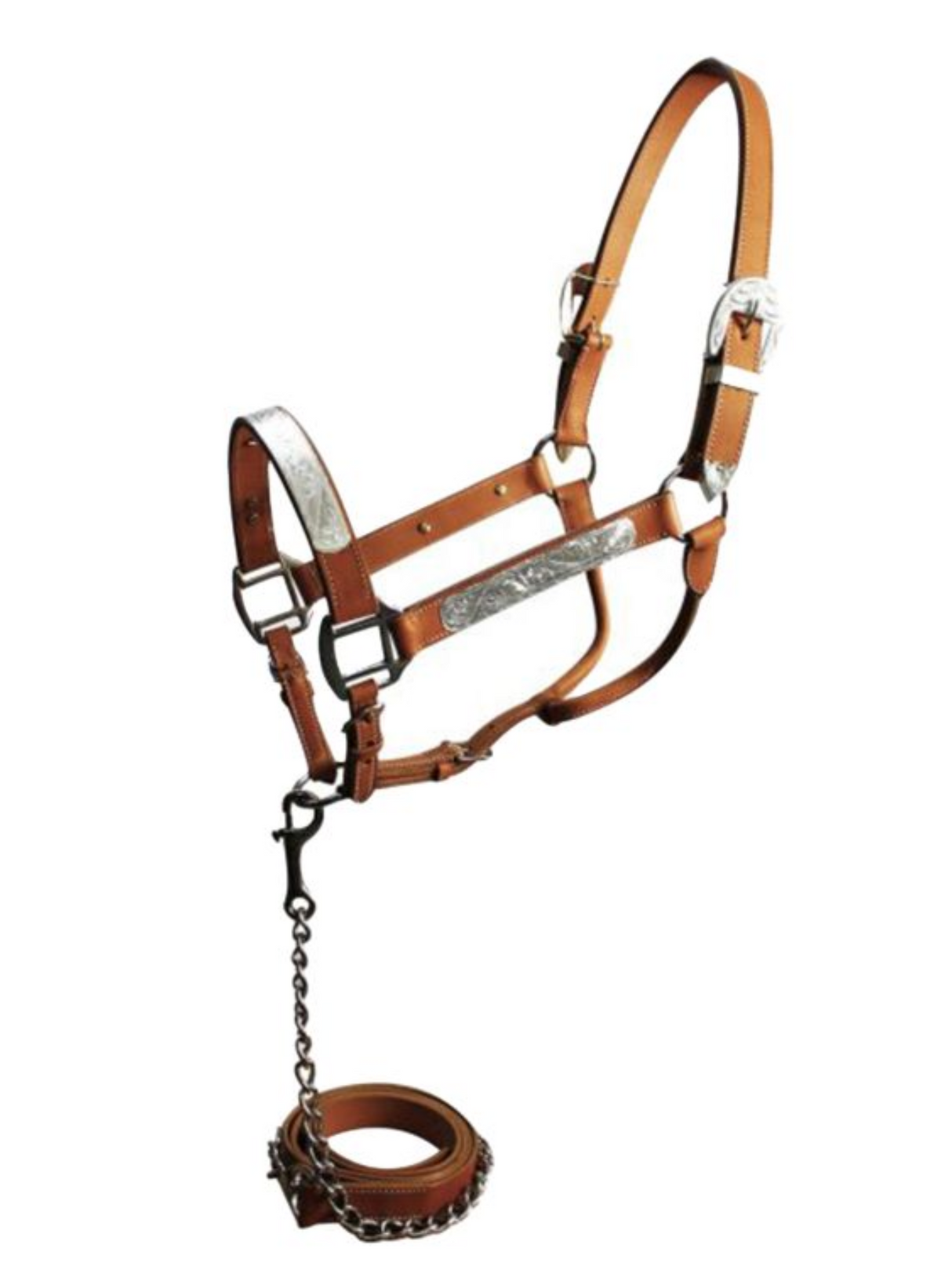 Licol de présentation avec laisse assortie