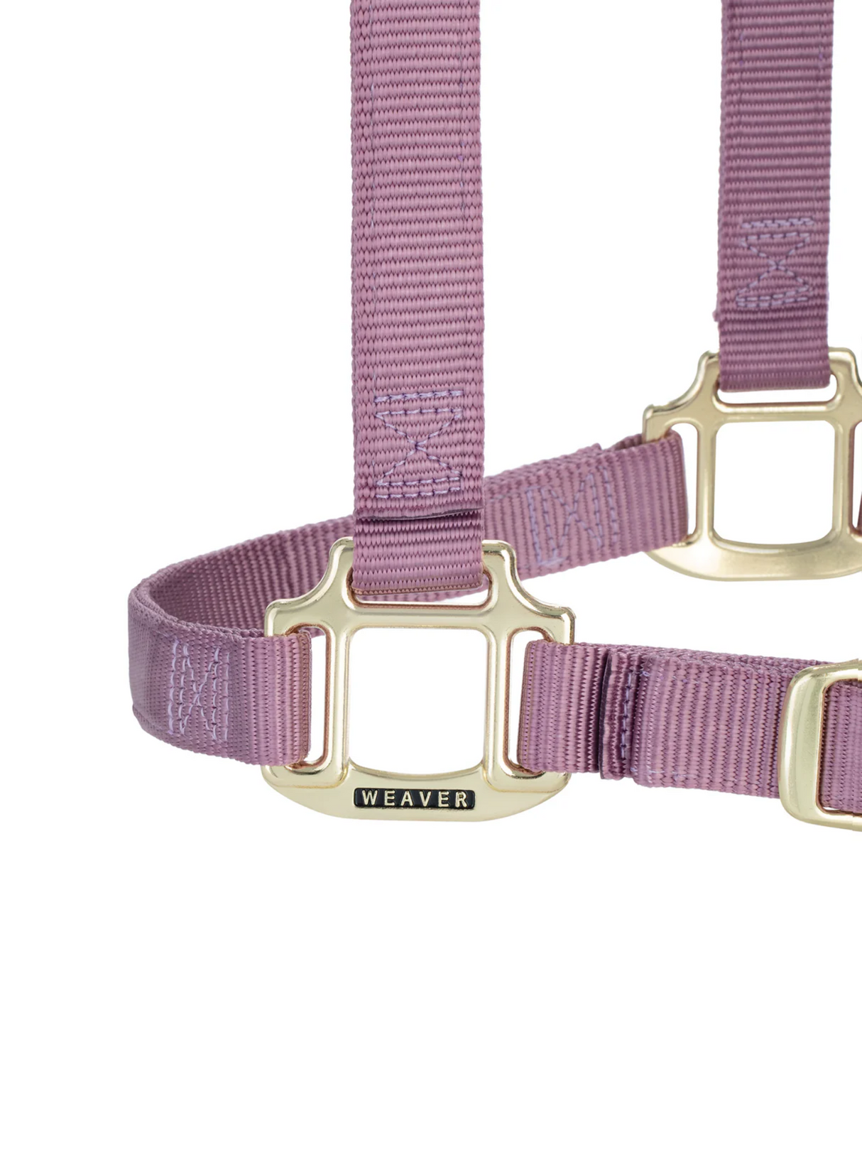 Licou en Nylon Original Ajustable