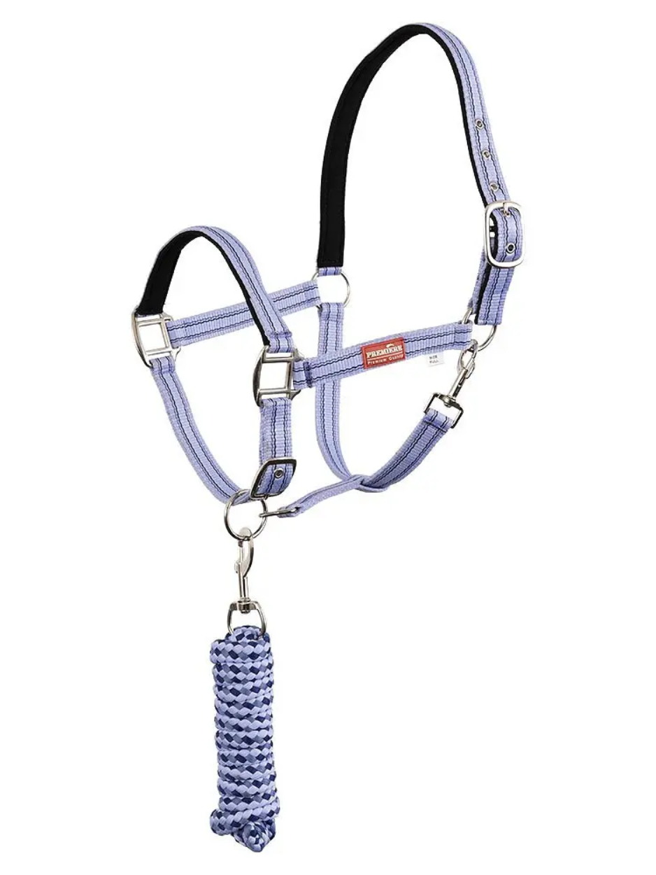 Nylon halter and lead set