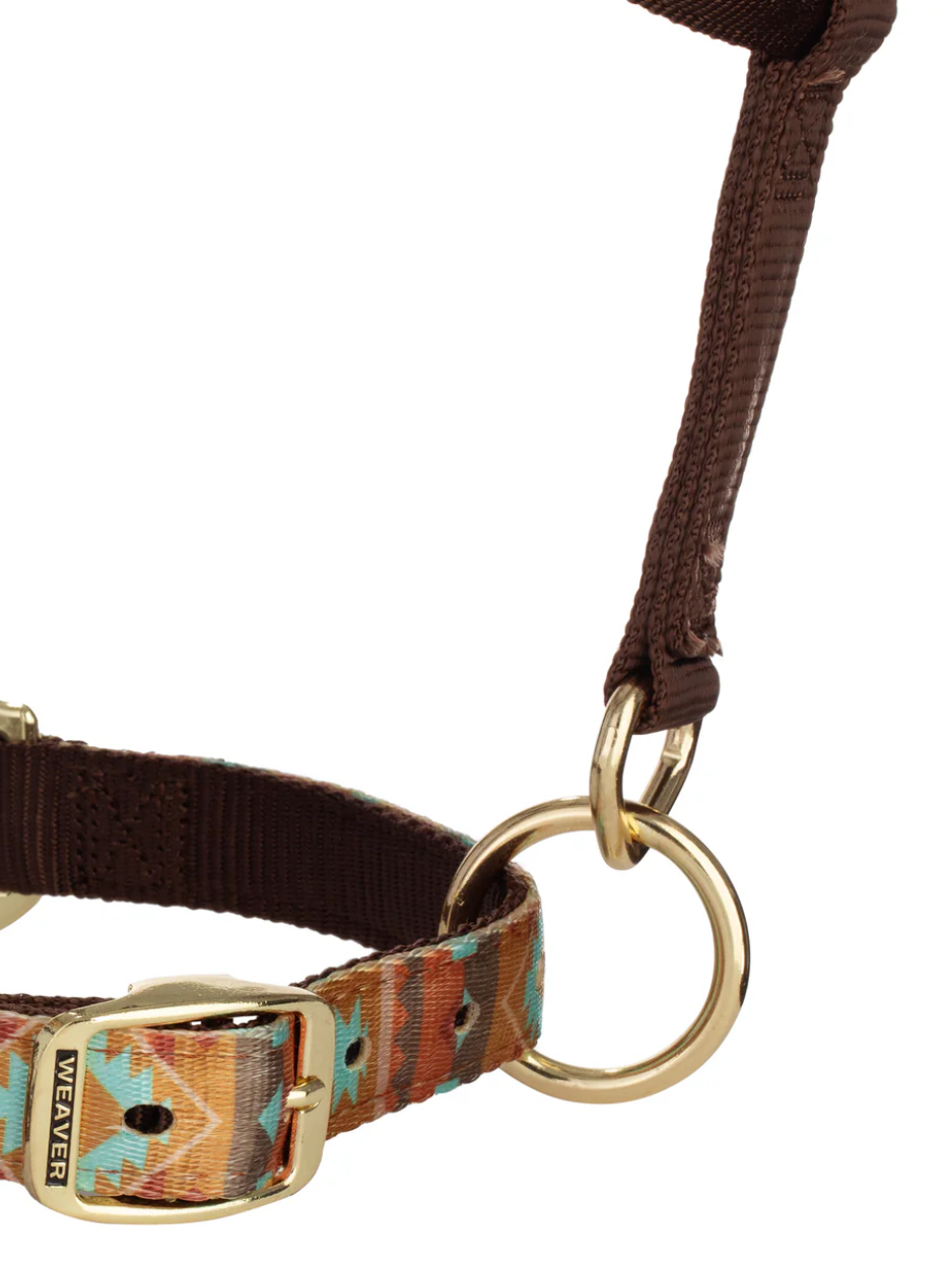 Licou de Nylon avec motifs