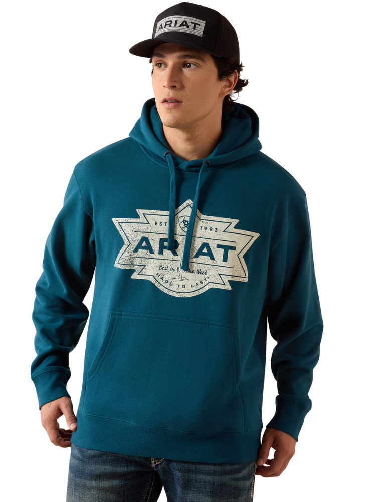 Chandail à capuchon Mesa Motif - Homme