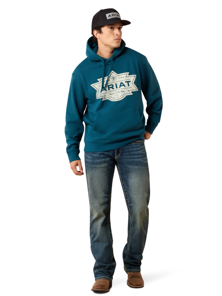 Chandail à capuchon Mesa Motif - Homme