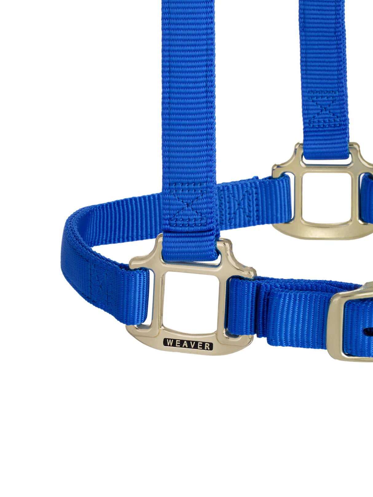 Licou en Nylon Original Ajustable