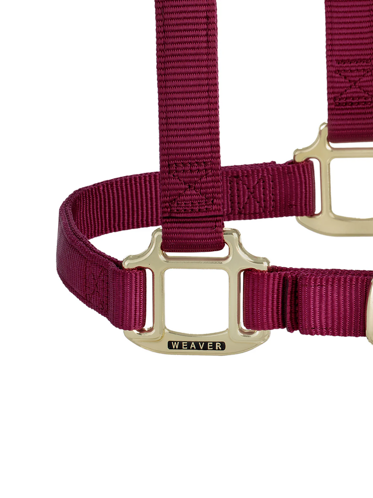 Licou en Nylon Original Ajustable