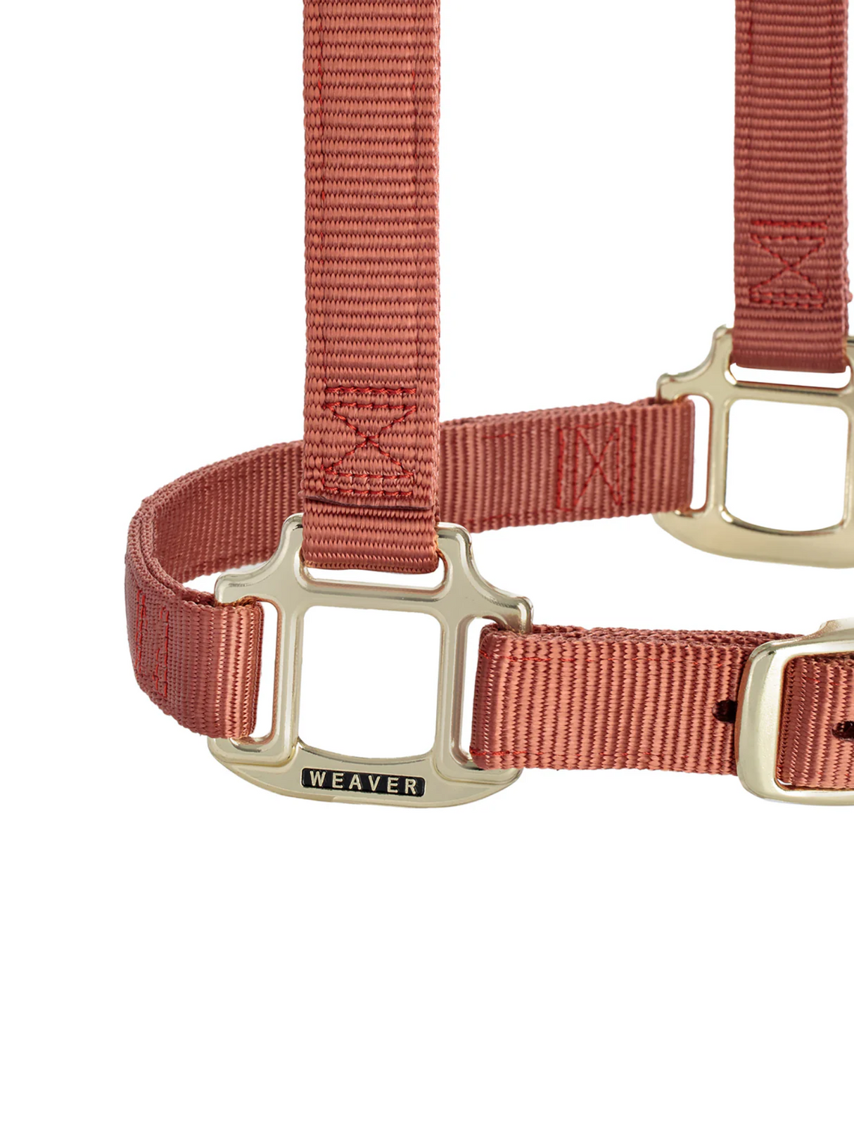 Licou en Nylon Original Ajustable