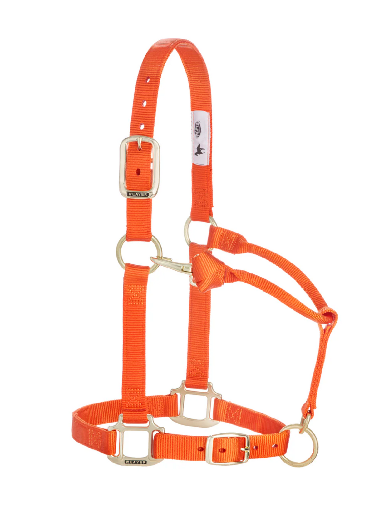 Licou en Nylon Original Ajustable