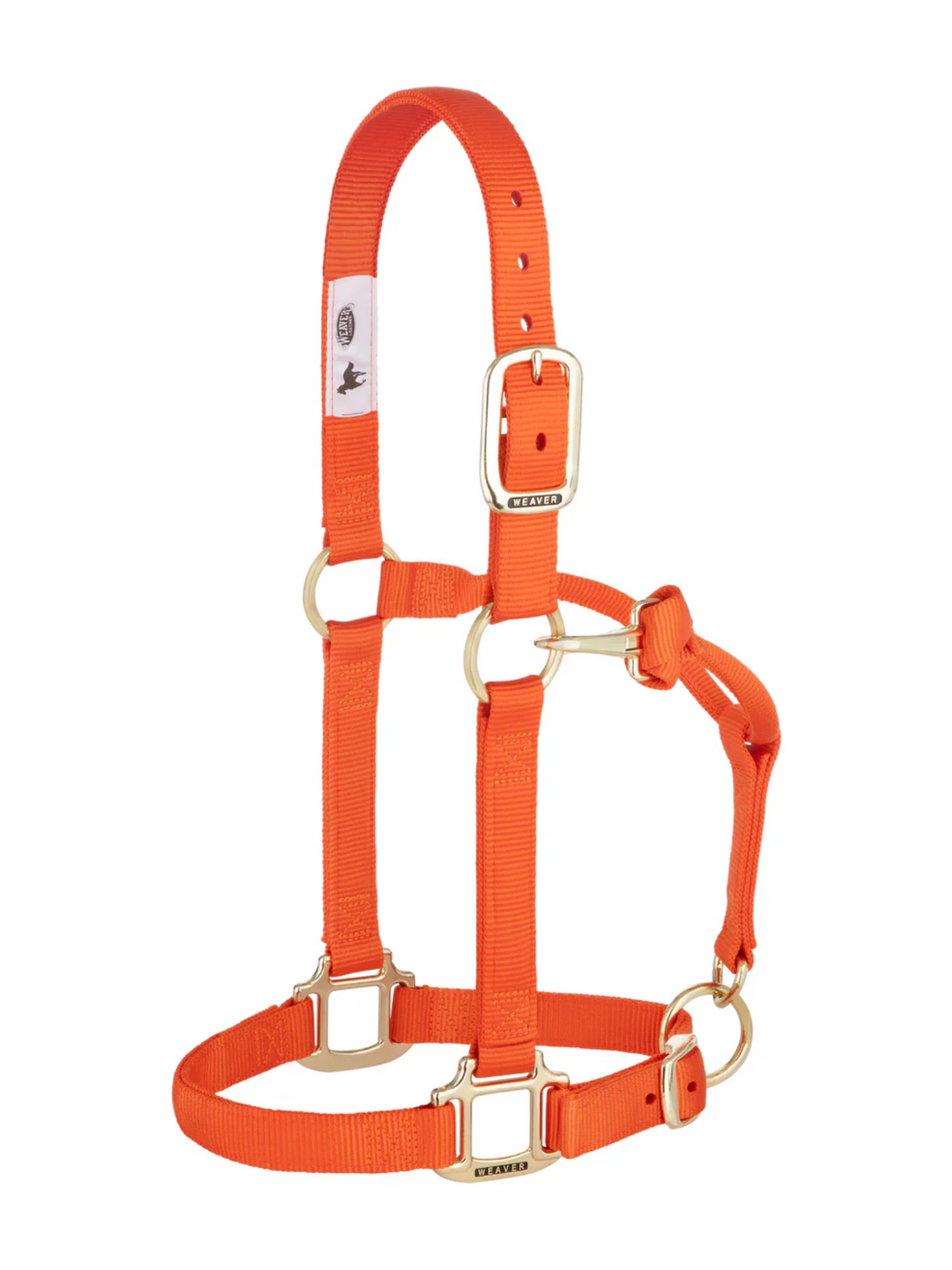 Licou en Nylon Original Ajustable