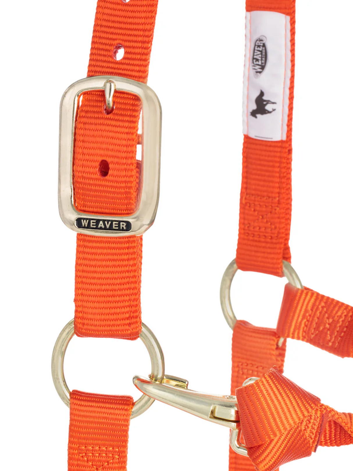 Licou en Nylon Original Ajustable