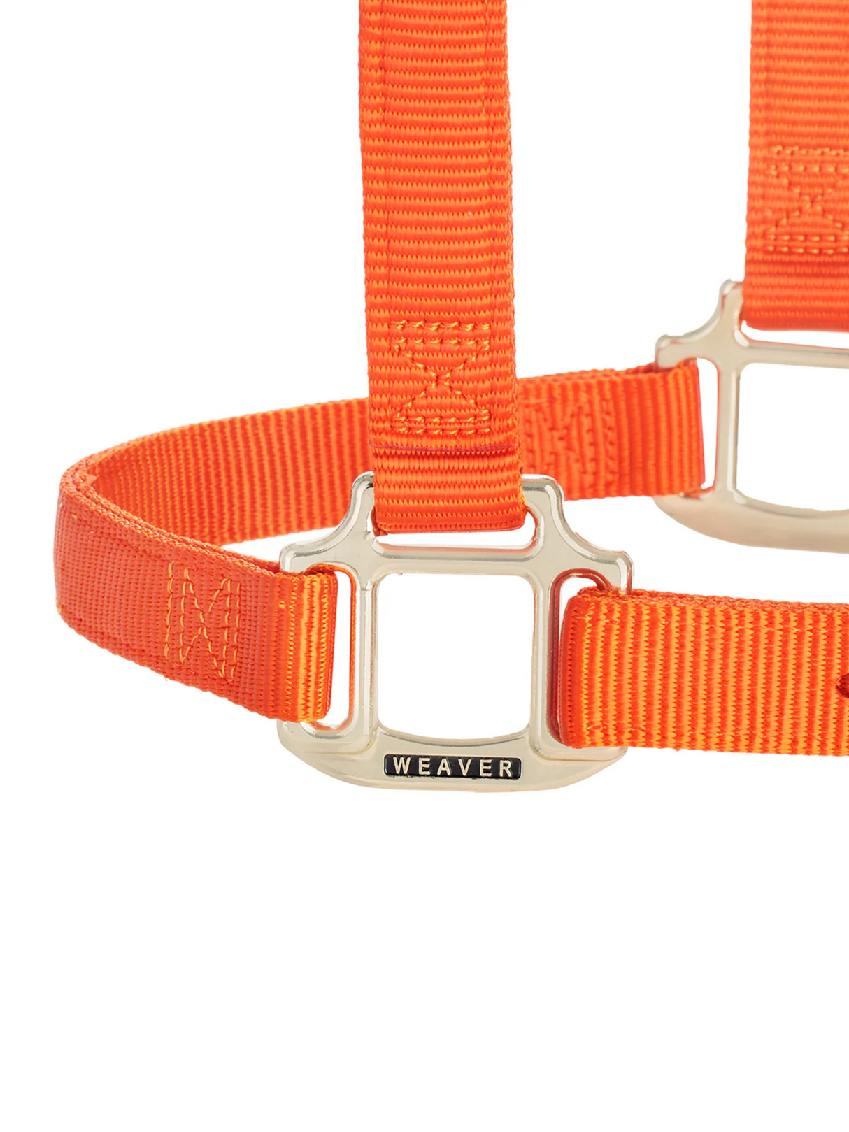 Licou en Nylon Original Ajustable